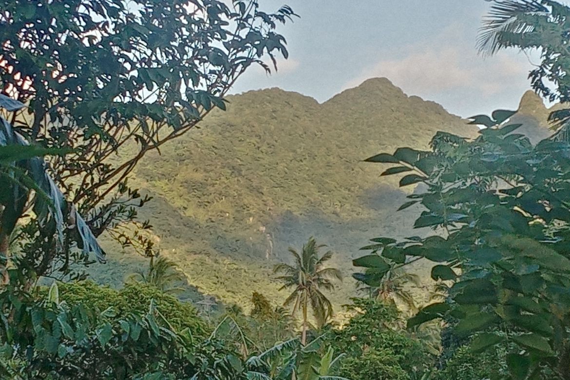Land for Sale in Santo Niño, Lipa, Batangas – photo 3
