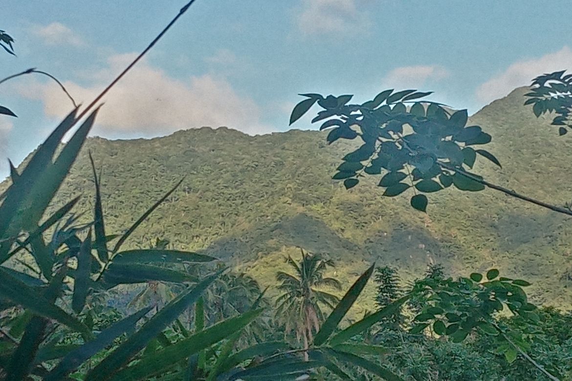 Land for Sale in Santo Niño, Lipa, Batangas – photo 4