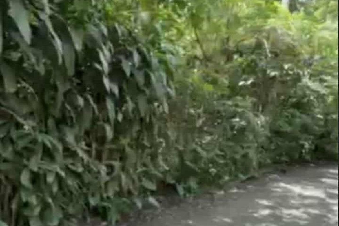 Land for Sale in Santo Niño, Lipa, Batangas – photo 4