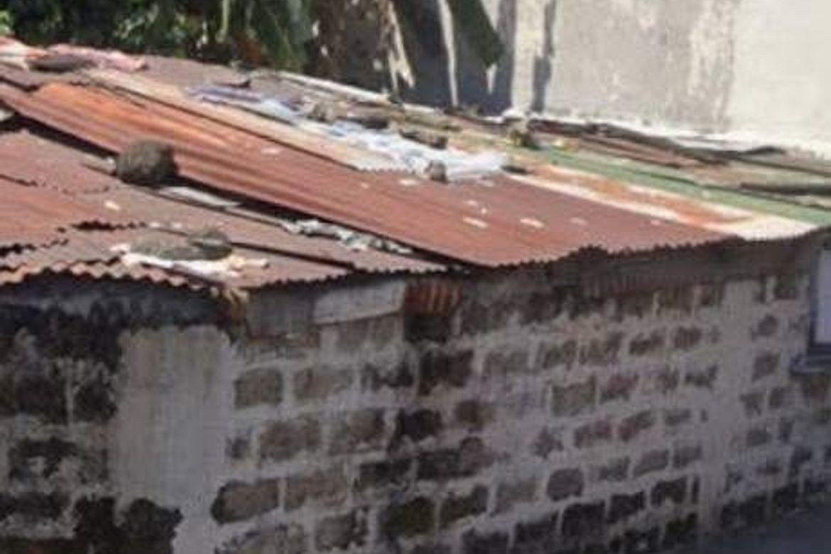 Land for Sale in Santo Niño, Marikina, Metro Manila – photo 3