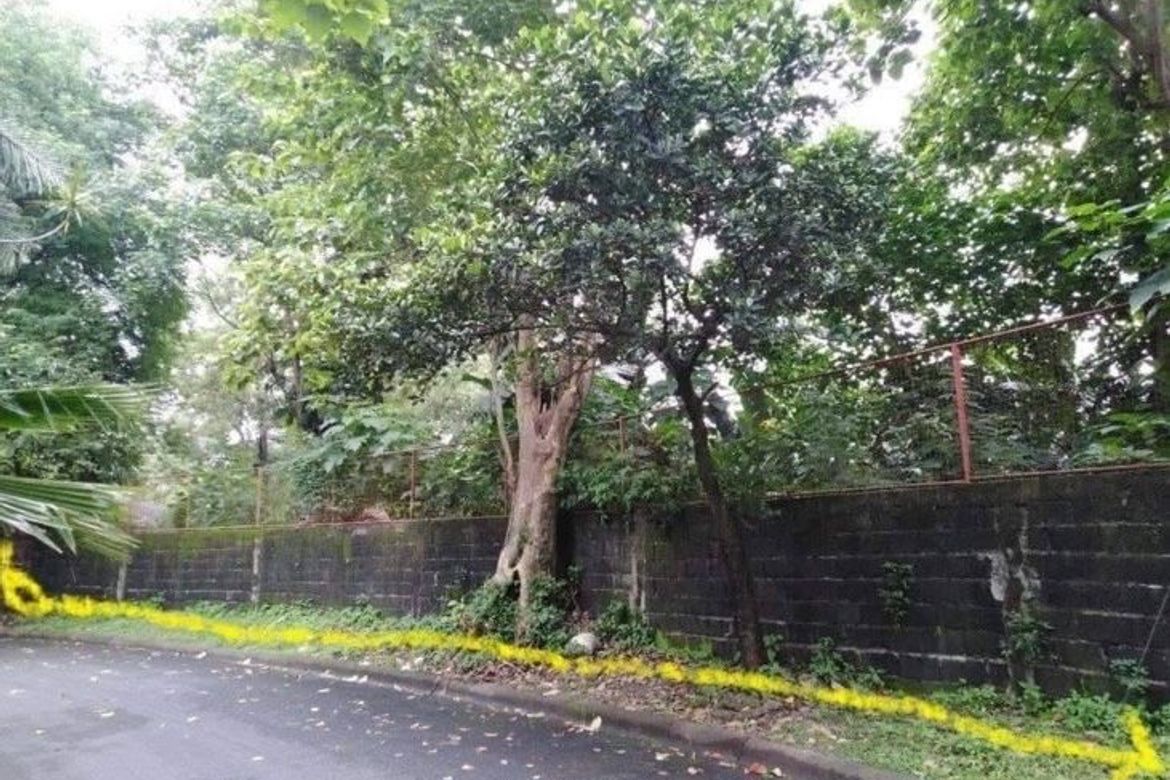 Land for Sale in Santo Niño, Marikina, Metro Manila