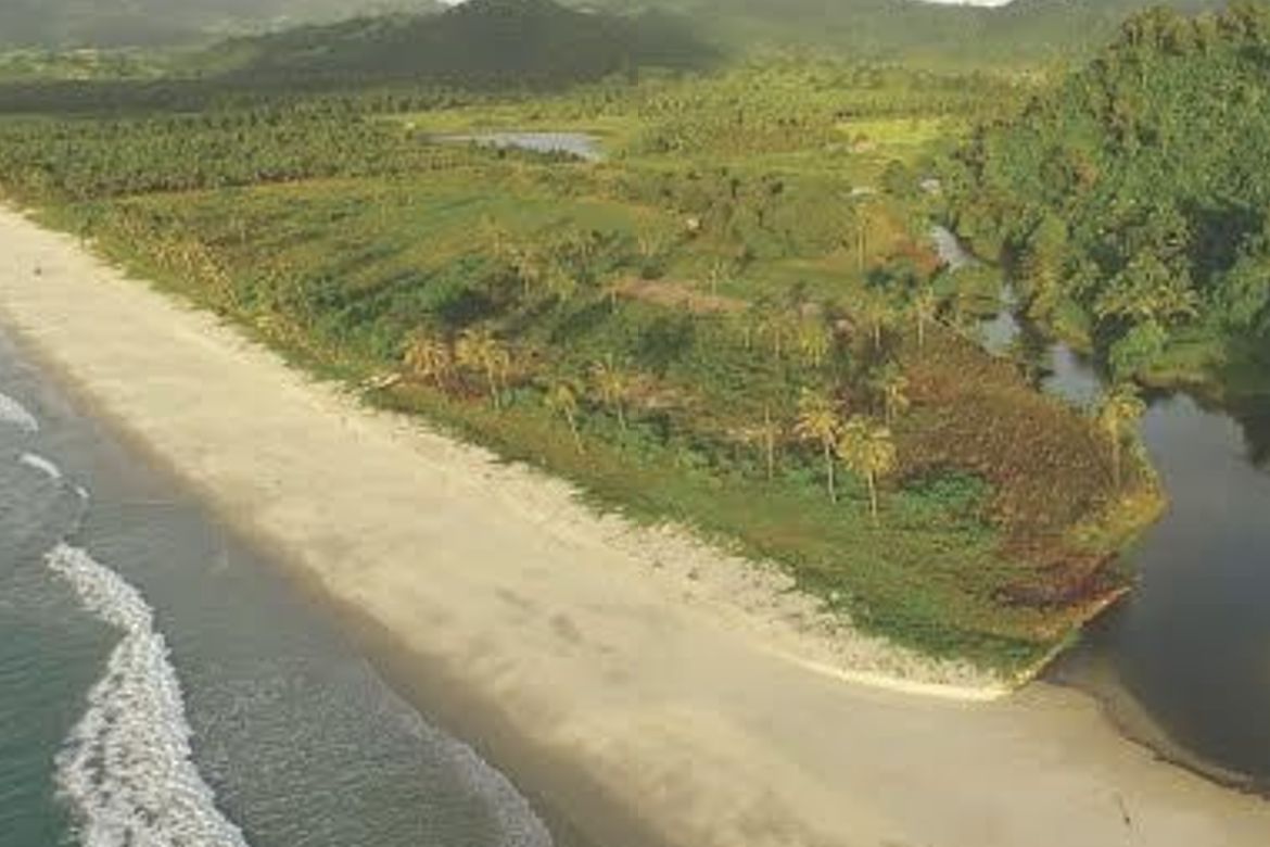 Land for Sale in Santo Niño, San Vicente, Palawan – photo 8