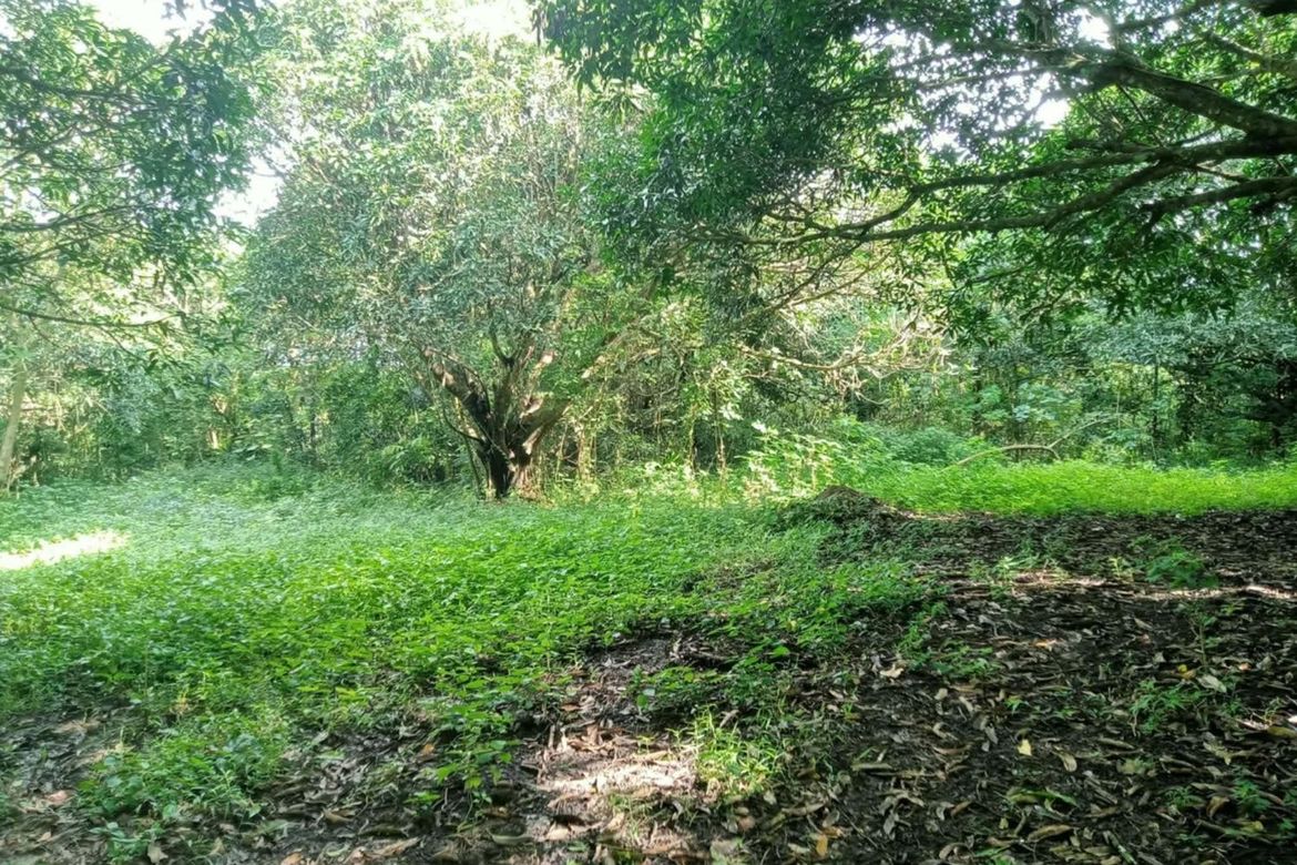 Land for Sale in Santo Niño, Taysan, Batangas – photo 8