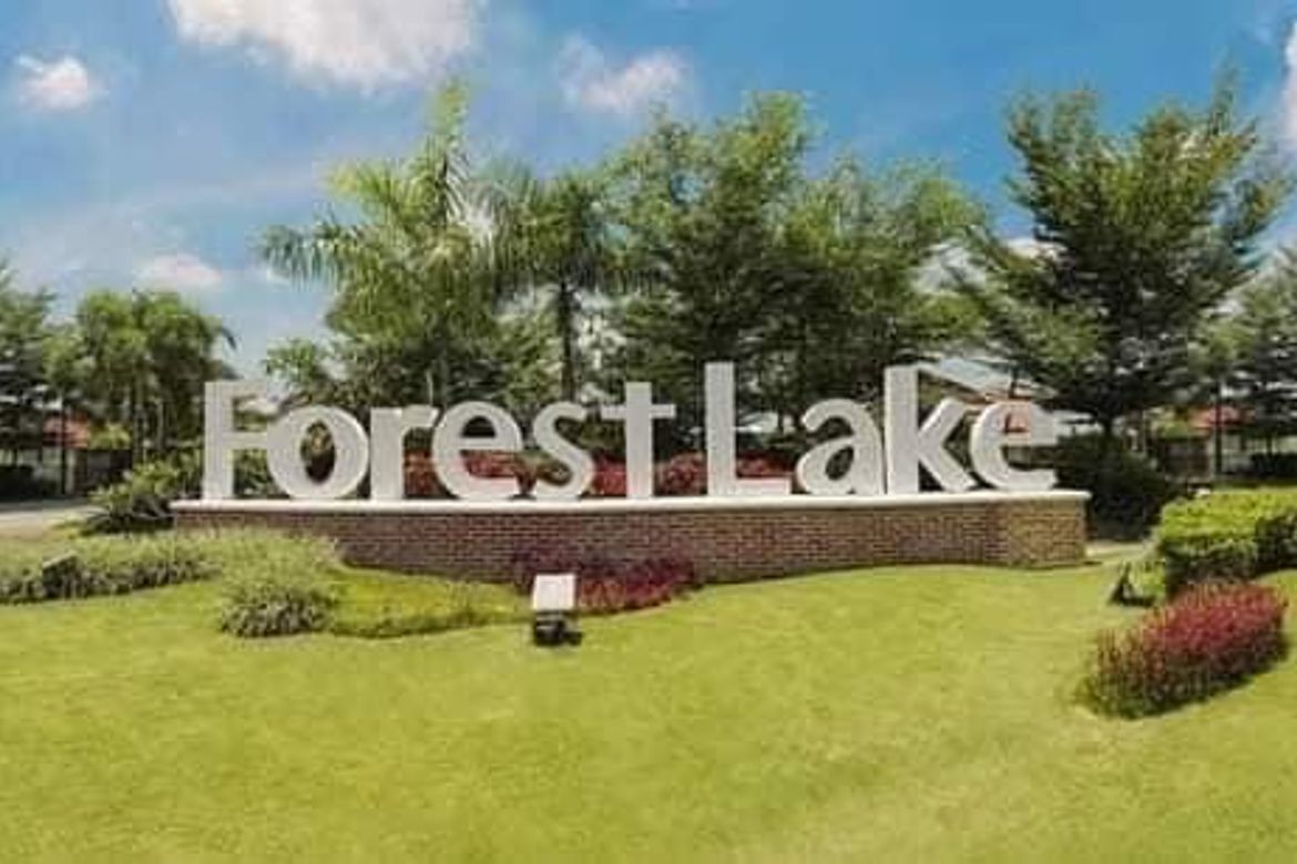 Land for Sale in Santo Rosario, Capas, Tarlac – photo 2