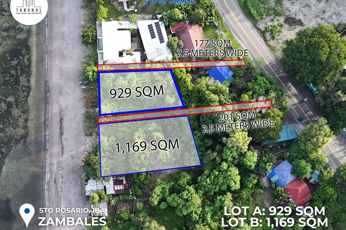 Land for Sale in Santo Rosario, Iba, Zambales – photo 2