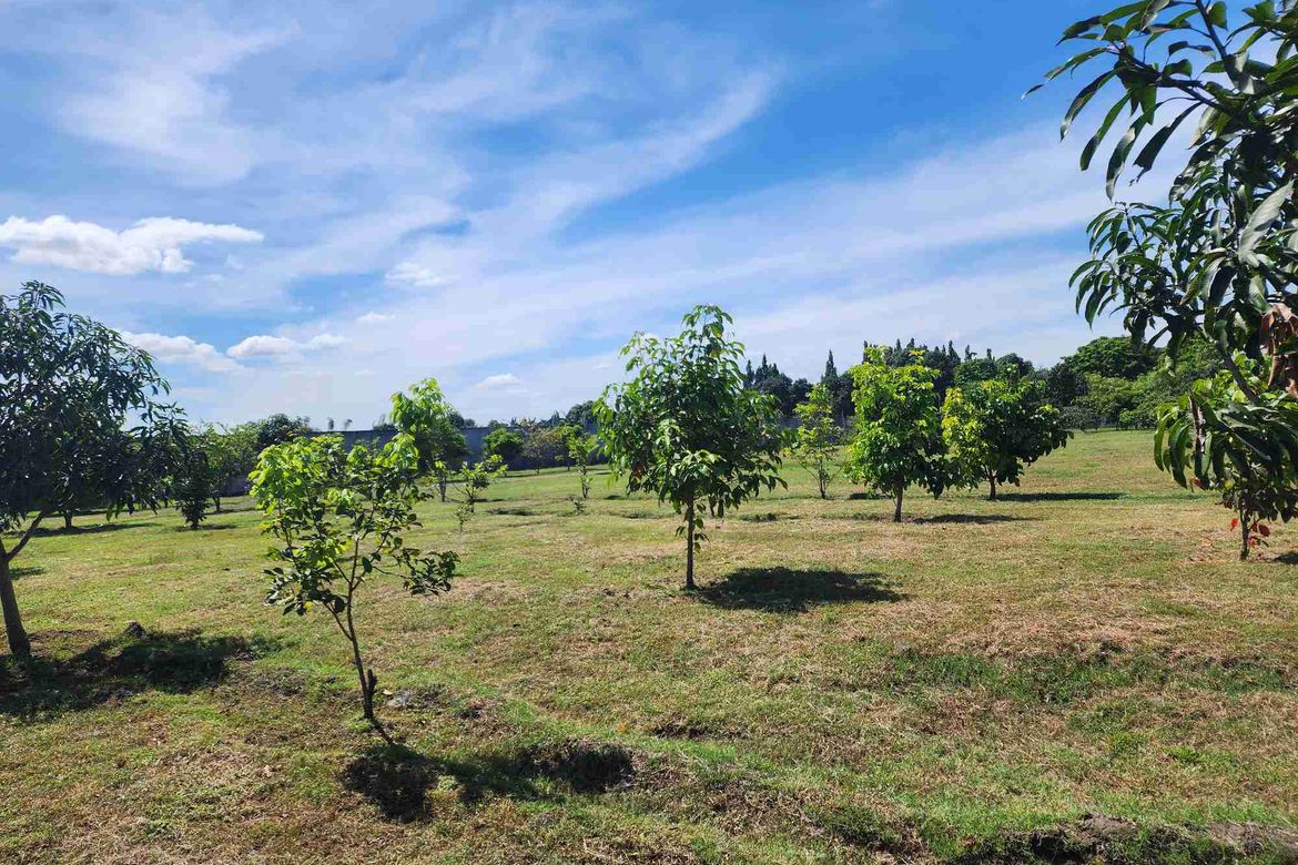 Land for Sale in Santo Rosario, Magalang, Pampanga – photo 3
