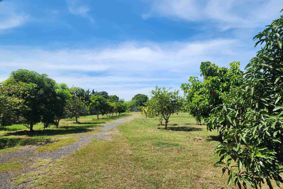 Land for Sale in Santo Rosario, Magalang, Pampanga – photo 8