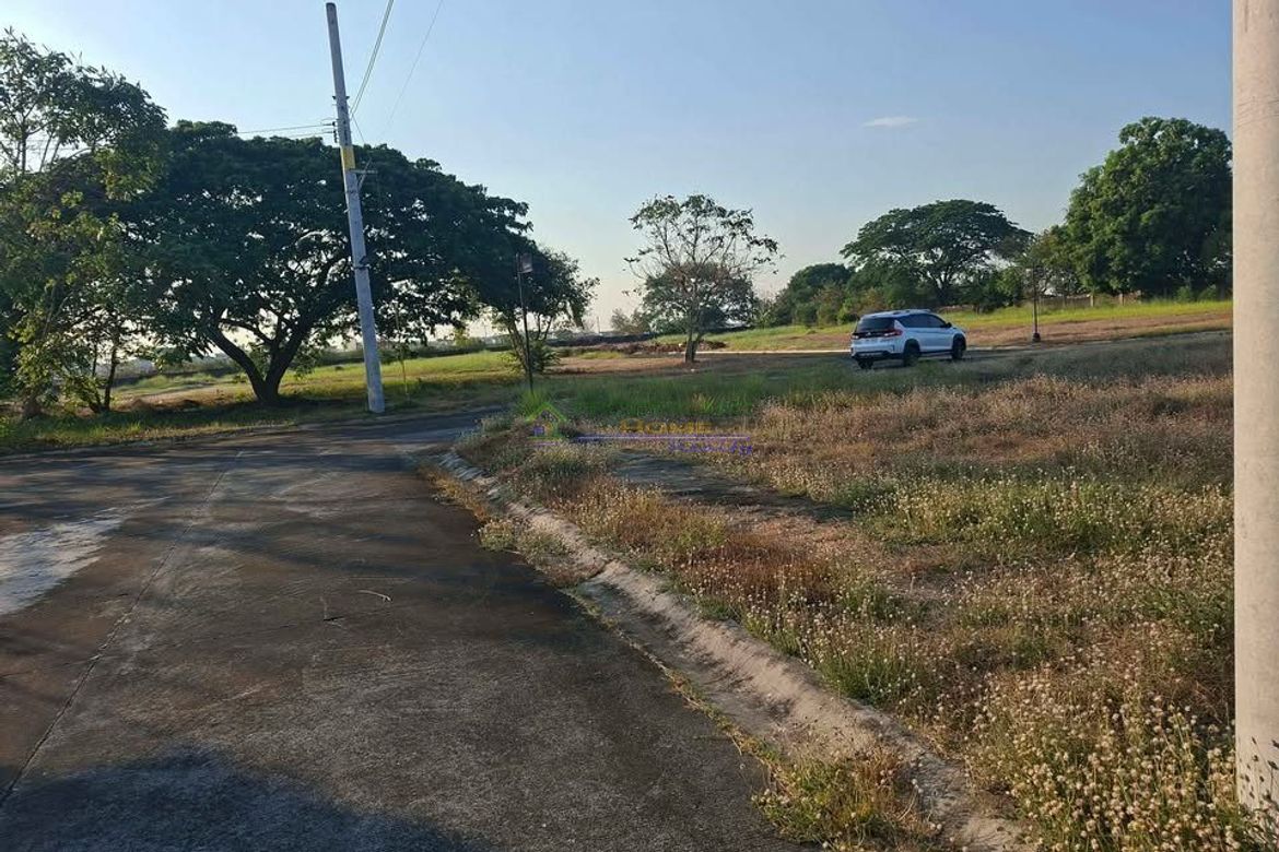 Land for Sale in Santo Rosario, San Fernando, Pampanga – photo 7