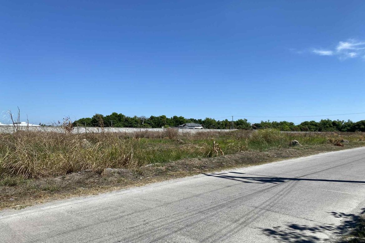 Land for Sale in Santo Rosario, San Fernando, Pampanga – photo 5