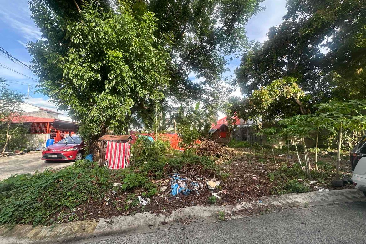 Land for Sale in Santo Tomas, Biñan, Laguna – photo 2