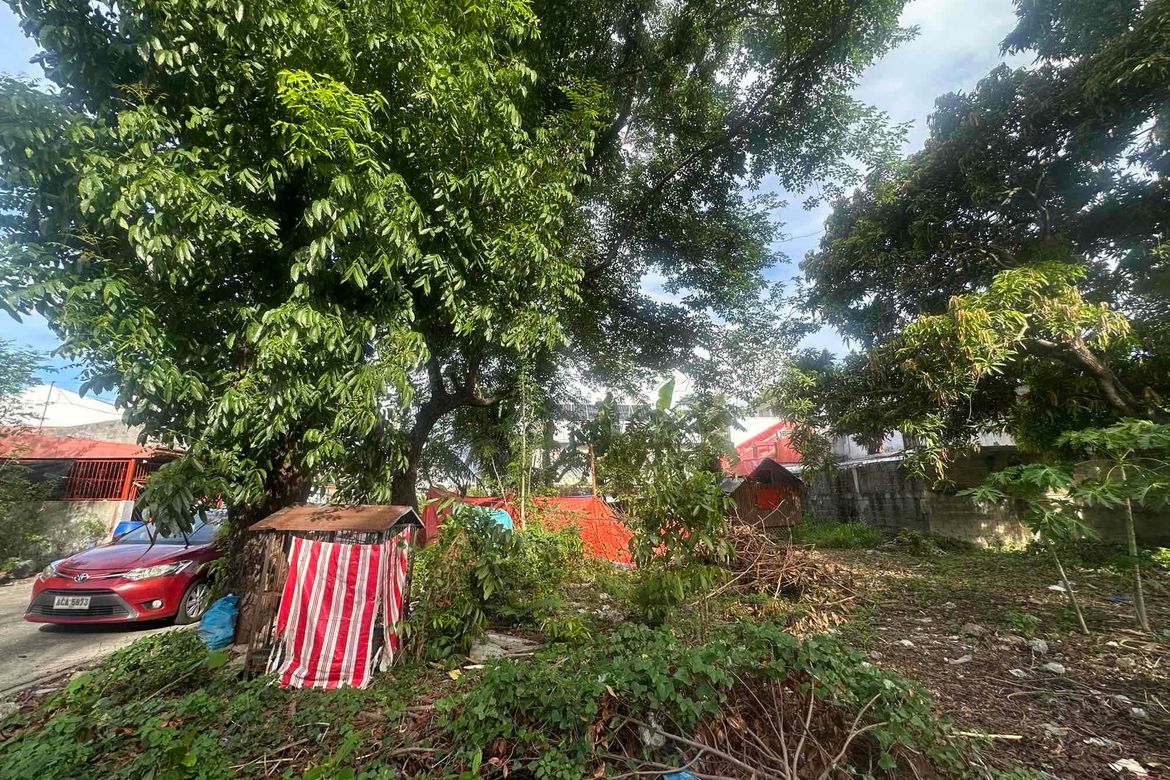 Land for Sale in Santo Tomas, Biñan, Laguna – photo 3