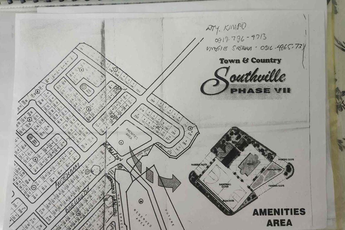 Land for Sale in Santo Tomas, Biñan, Laguna – photo 2
