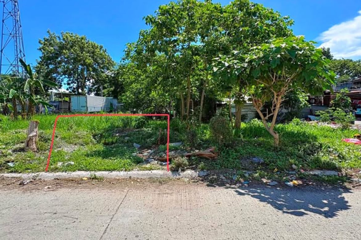 Land for Sale in Santo Tomas, Biñan, Laguna
