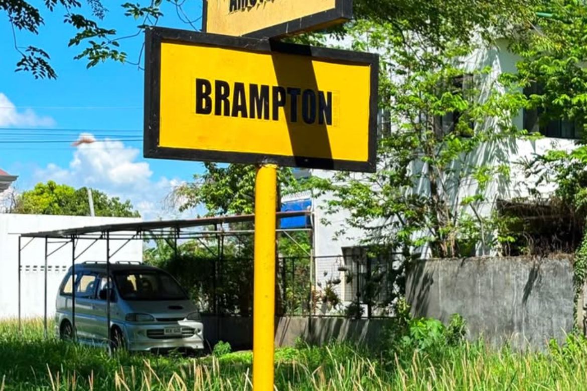 Land for Sale in Santo Tomas, Biñan, Laguna – photo 2
