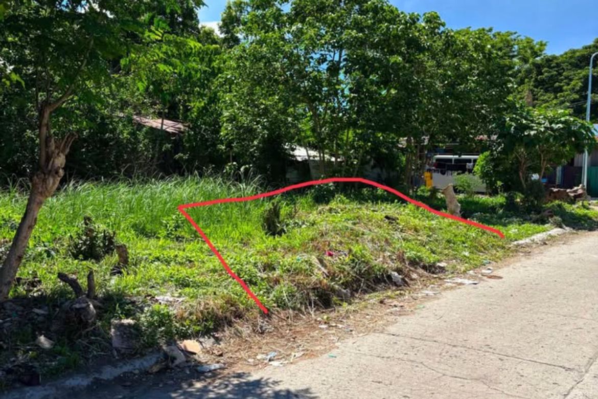 Land for Sale in Santo Tomas, Biñan, Laguna – photo 3