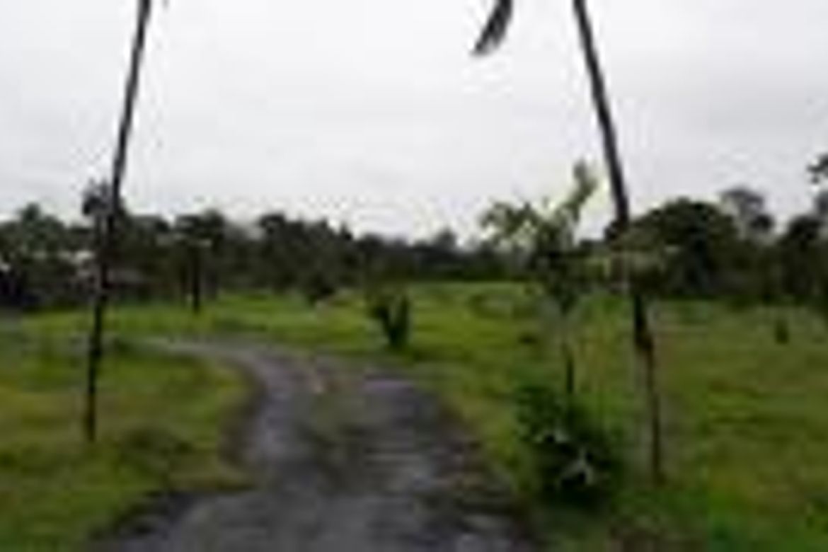 Land for Sale in Santo Tomas, Calauan, Laguna