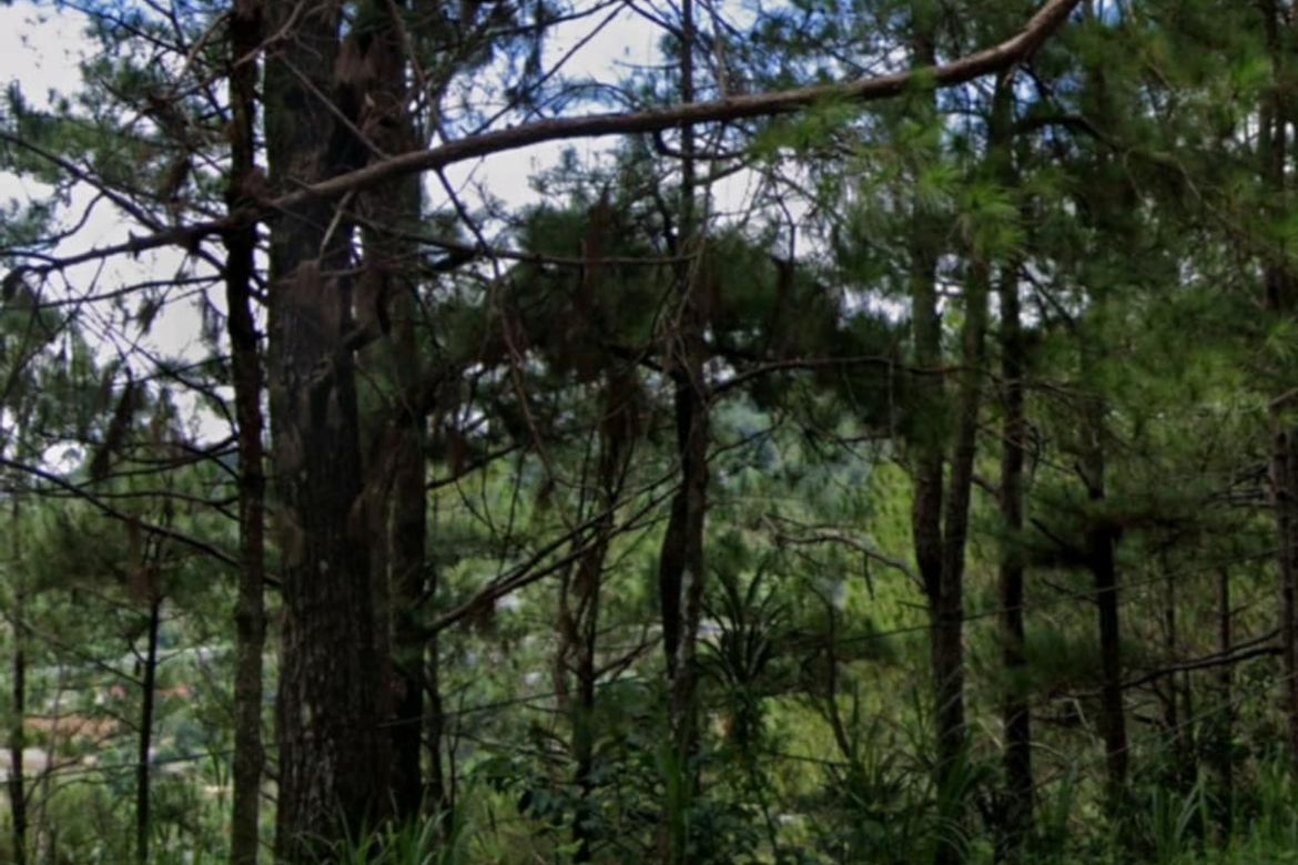 Land for Sale in Santo Tomas Proper, Baguio, Benguet – photo 3