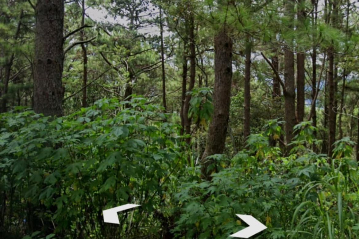 Land for Sale in Santo Tomas Proper, Baguio, Benguet – photo 4