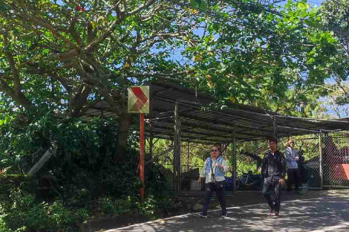Land for Sale in Santo Tomas Proper, Baguio, Benguet – photo 2