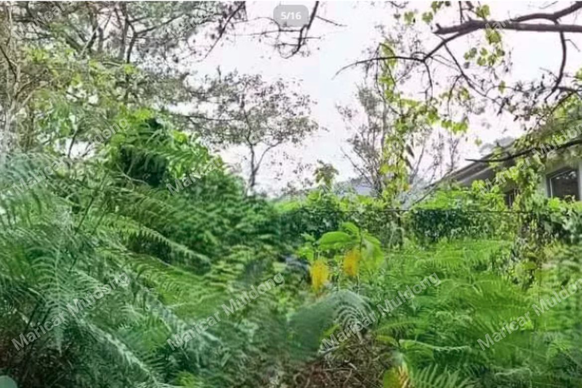 Land for Sale in Santo Tomas Proper, Baguio, Benguet – photo 3