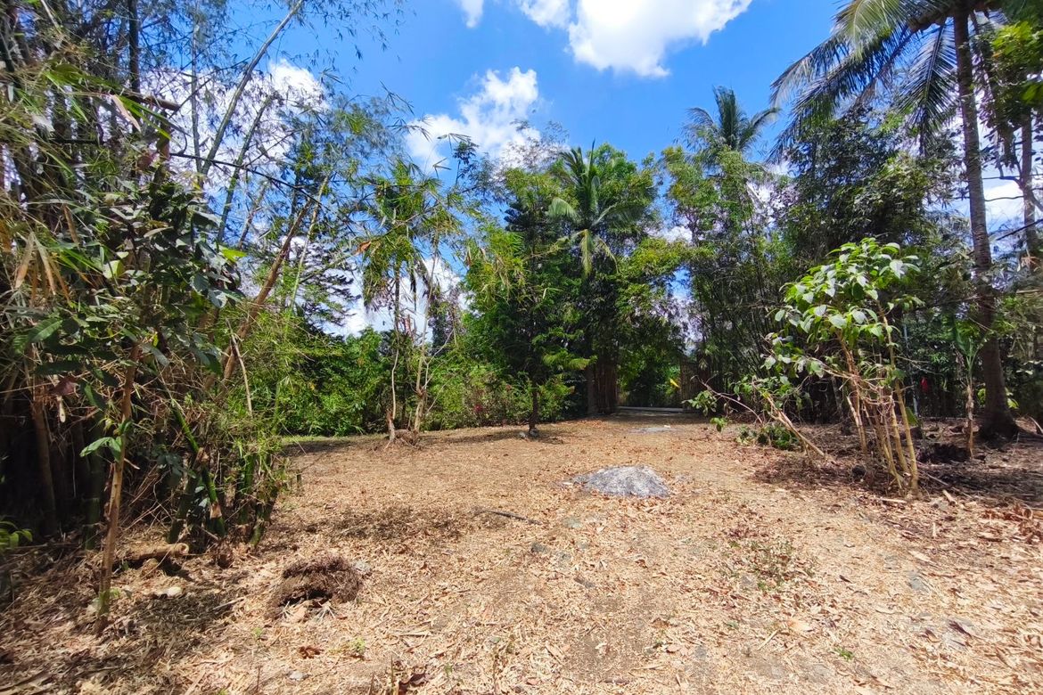 Land for Sale in Santo Toribio, Lipa, Batangas – photo 8