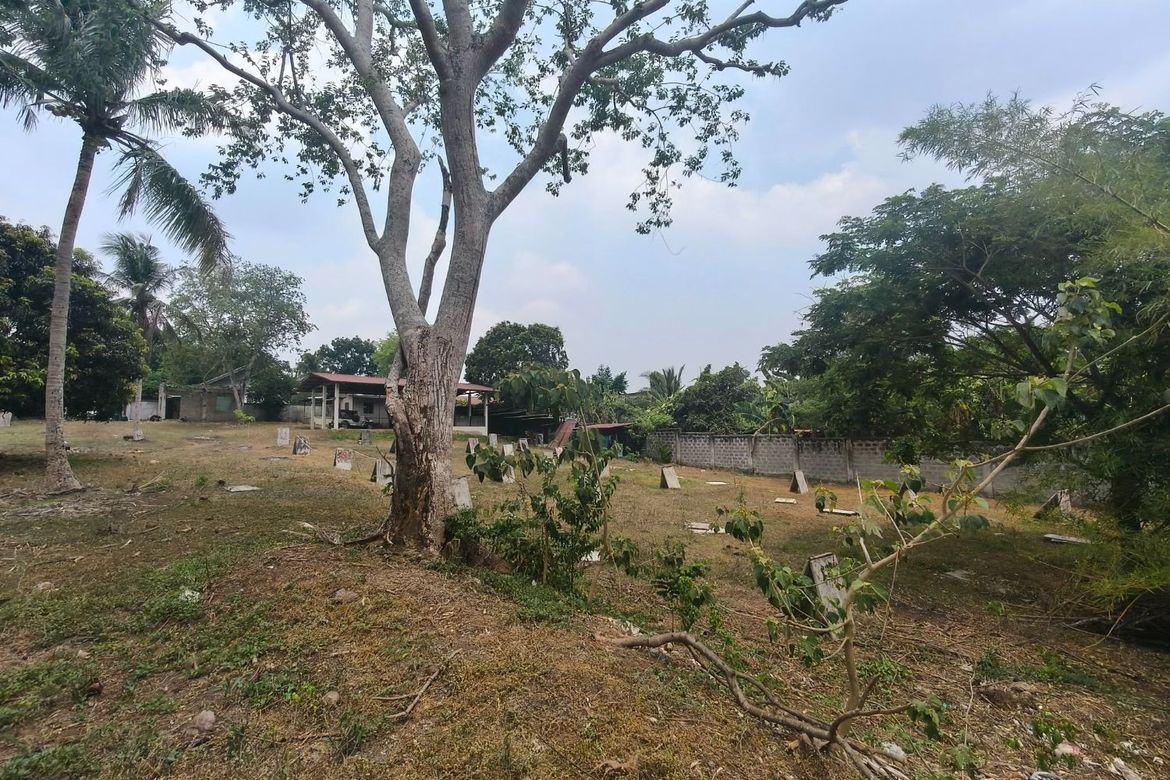 Land for Sale in Santo Toribio, Lipa, Batangas – photo 2