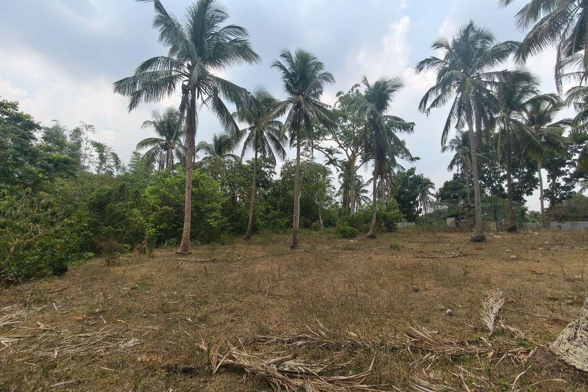 Land for Sale in Santo Toribio, Lipa, Batangas – photo 5