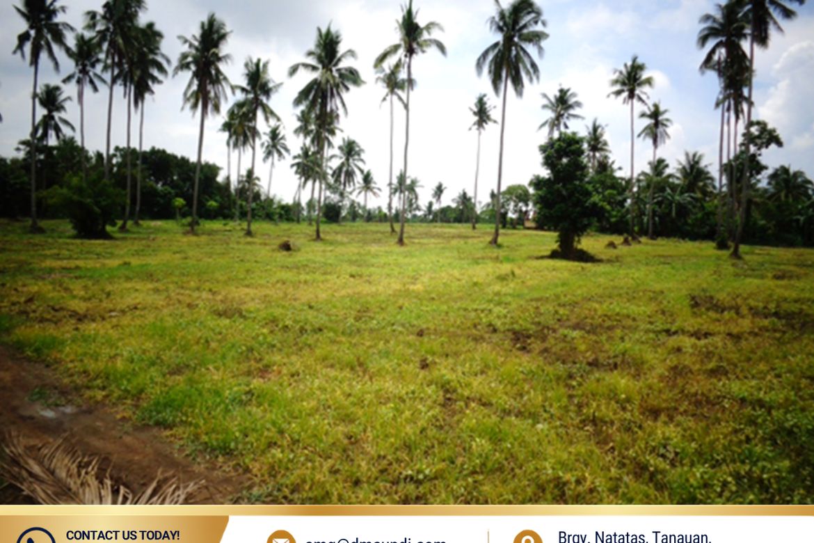 Land for Sale in Santor, Tanauan, Batangas – photo 6