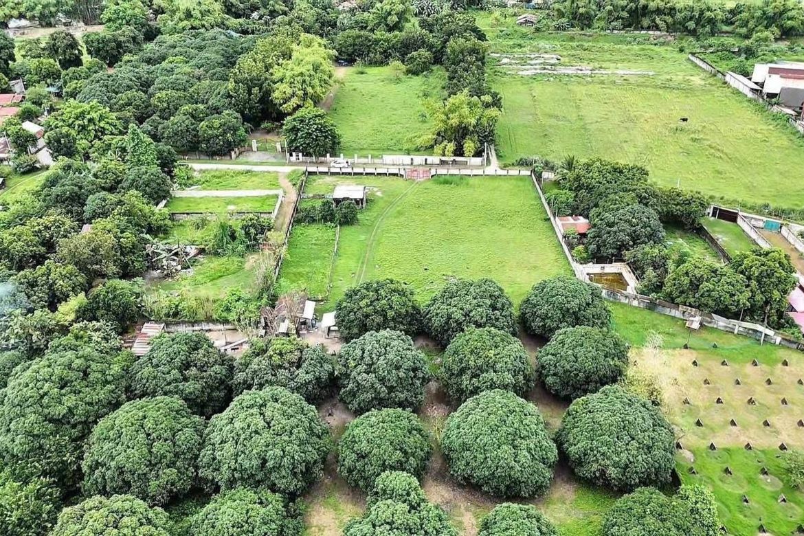 Land for Sale in Sapang Biabas, Mabalacat, Pampanga – photo 2