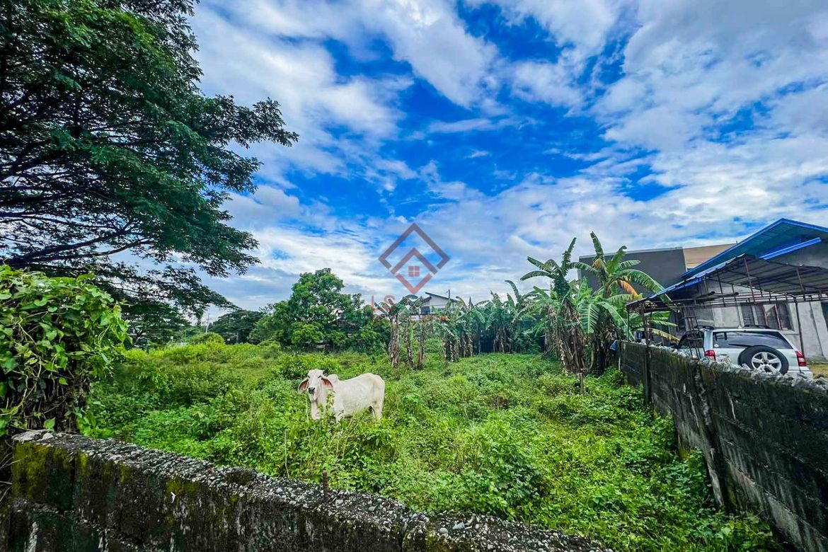 Land for Sale in Sapang Bulak, Doña Remedios Trinidad, Bulacan