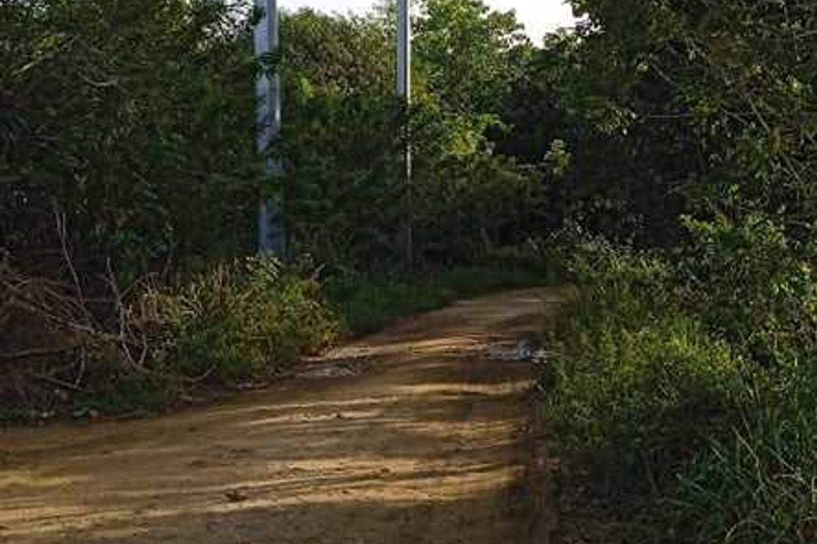 Land for Sale in Sapang Dayap, San Ildefonso, Bulacan – photo 6