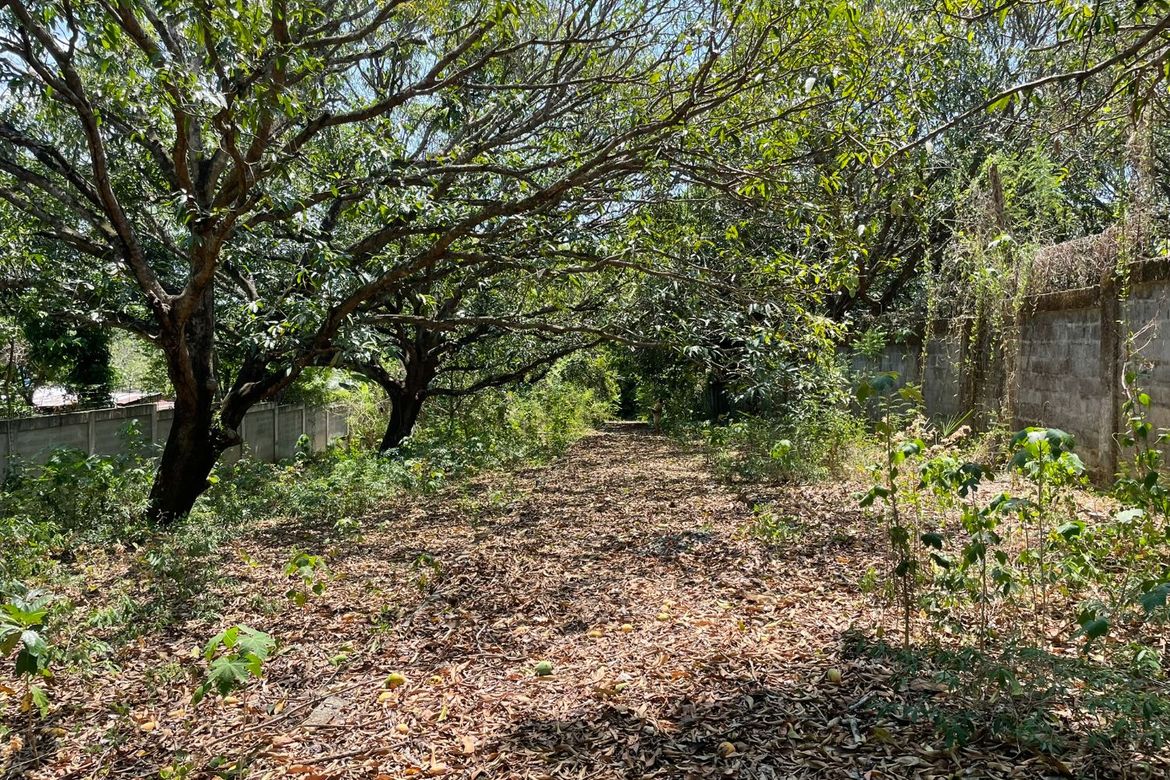 Land for Sale in Sapang, Manaoag, Pangasinan – photo 3
