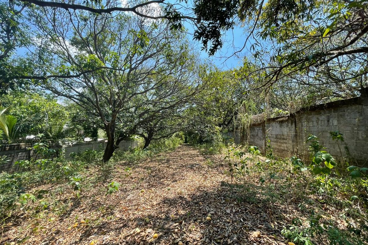 Land for Sale in Sapang, Manaoag, Pangasinan – photo 4
