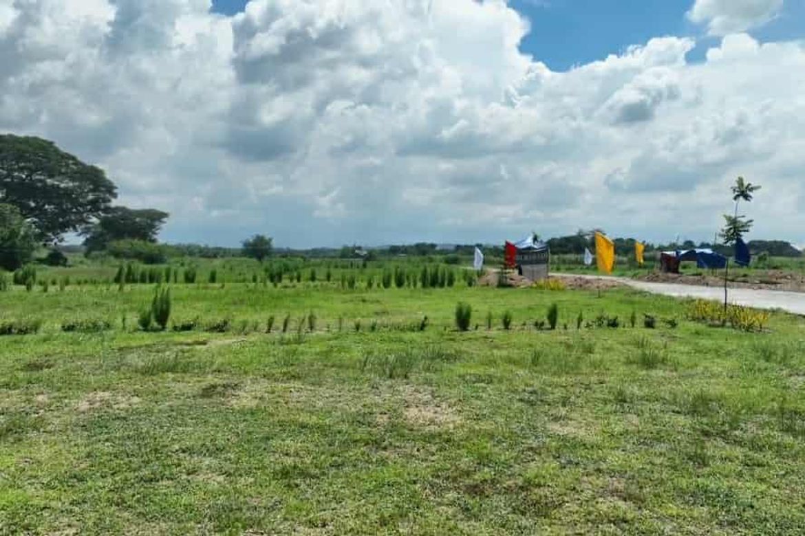 Land for Sale in Sapang Maragul, Tarlac, Tarlac – photo 3