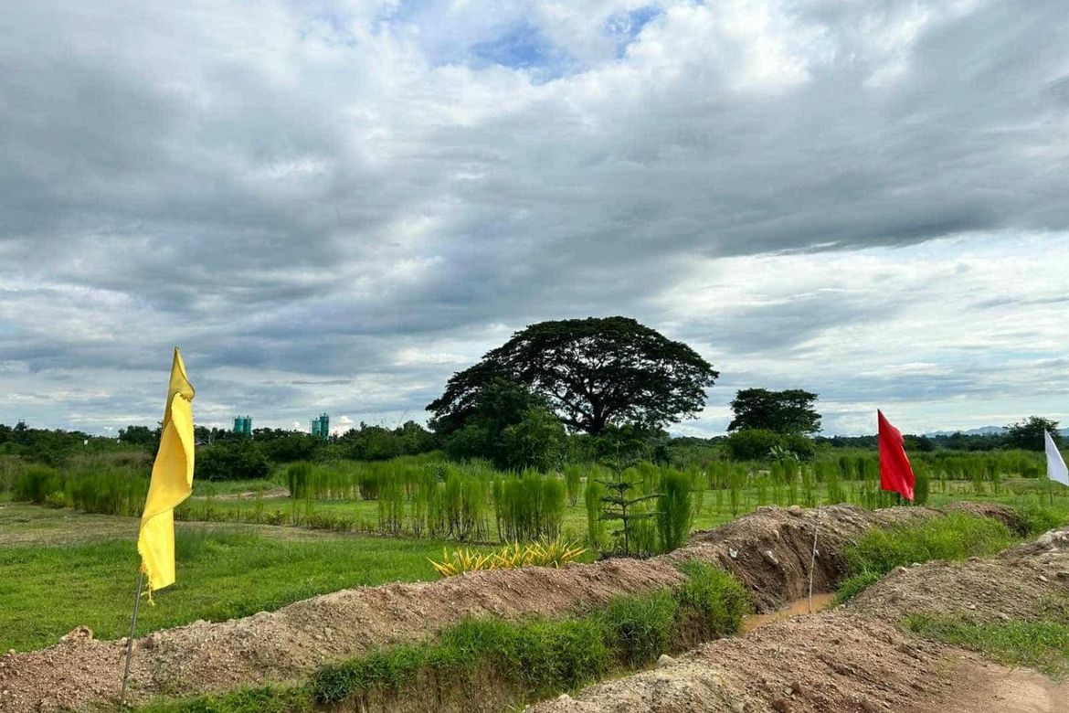 Land for Sale in Sapang Maragul, Tarlac, Tarlac – photo 4