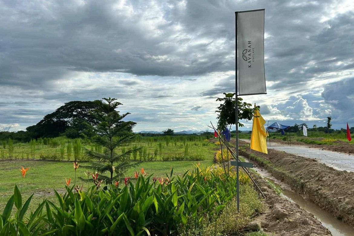 Land for Sale in Sapang Maragul, Tarlac, Tarlac – photo 4