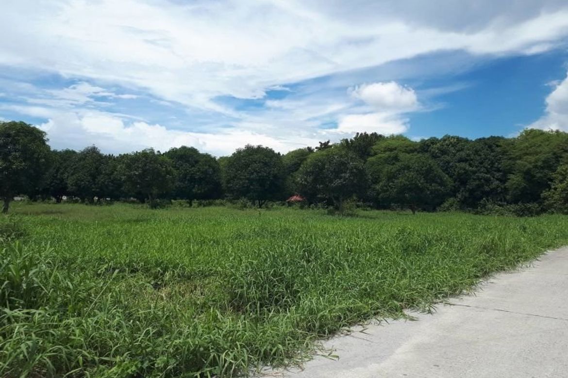 Land for Sale in Sapang Uwak, Porac, Pampanga – photo 2