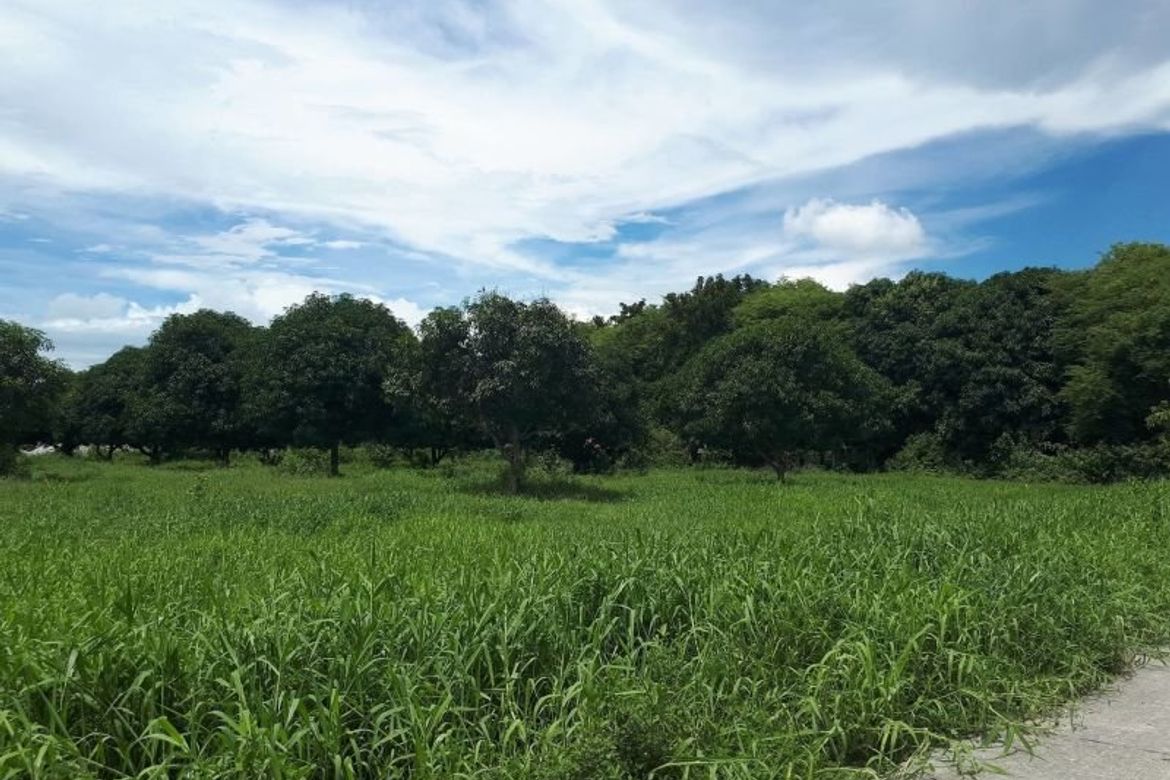 Land for Sale in Sapang Uwak, Porac, Pampanga – photo 4
