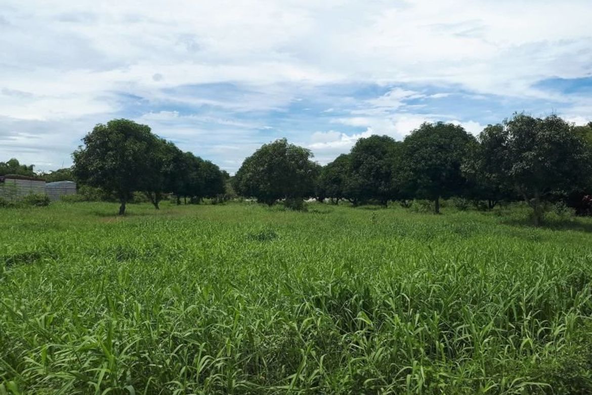 Land for Sale in Sapang Uwak, Porac, Pampanga – photo 6