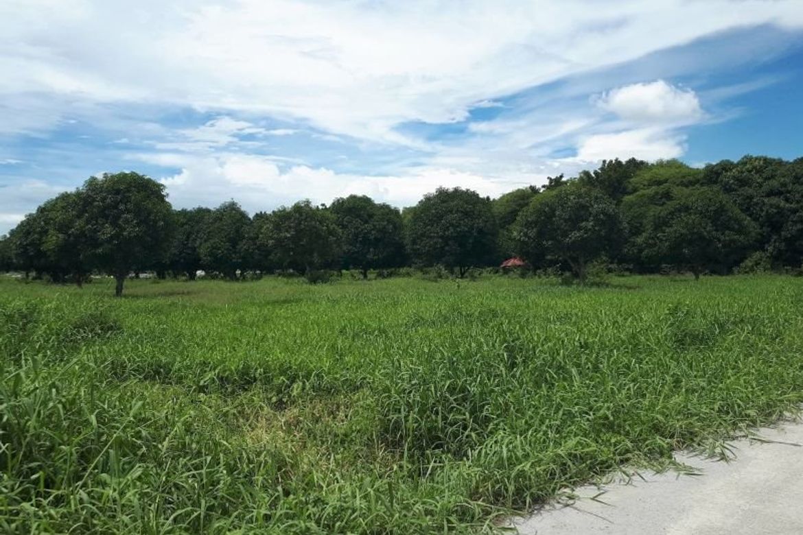Land for Sale in Sapang Uwak, Porac, Pampanga – photo 8