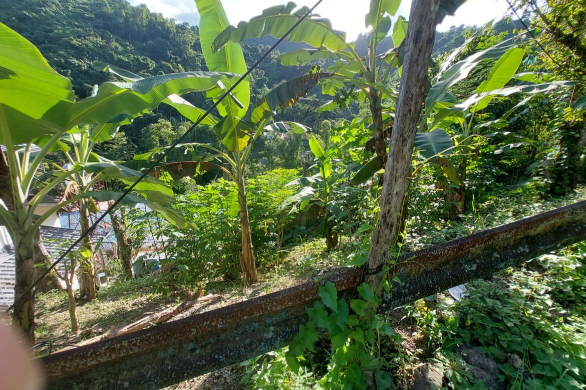 Land for Sale in Sapangdaku, Cebu City, Cebu – photo 2