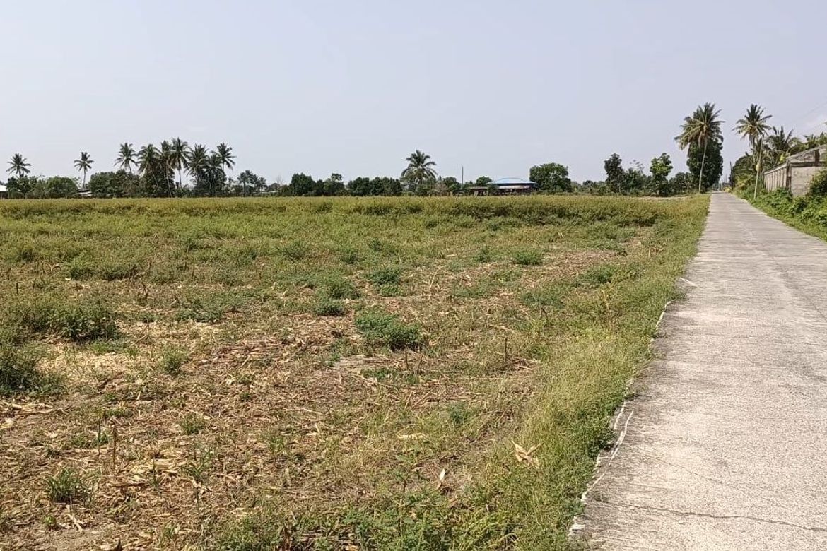 Land for Sale in Saranay, Aurora, Isabela – photo 4