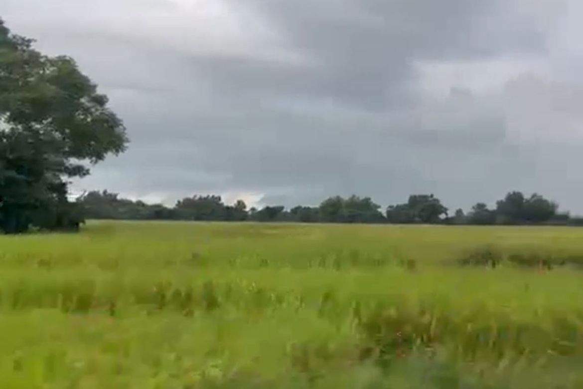Land for Sale in Saranay District, Guimba, Nueva Ecija – photo 2