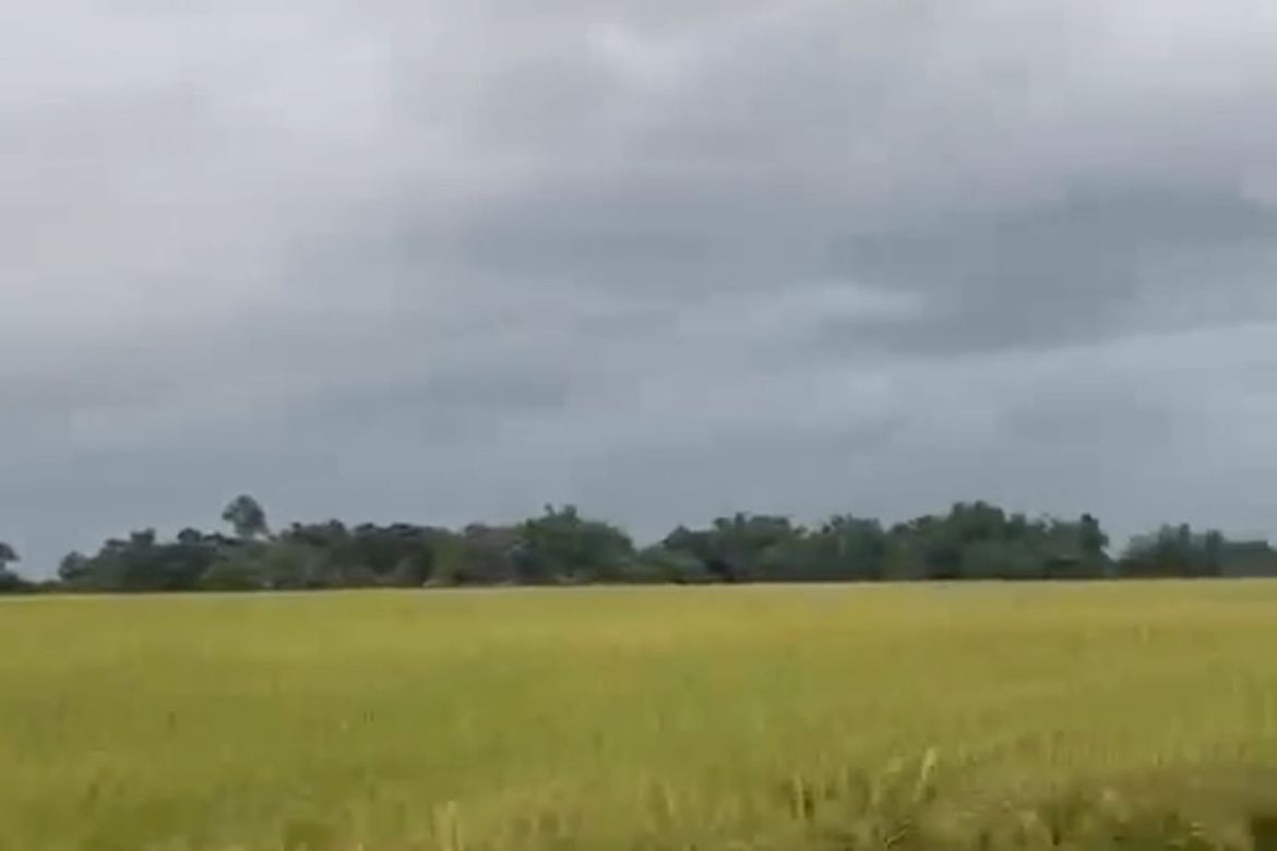 Land for Sale in Saranay District, Guimba, Nueva Ecija – photo 3