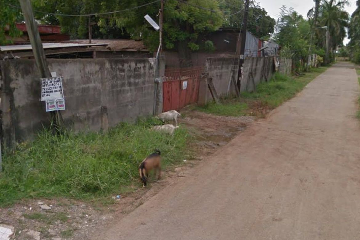 Land for Sale in Sasa, Davao City, Davao del Sur – photo 2