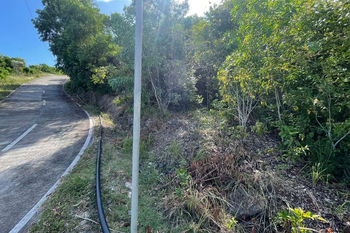 Land for Sale in Sawang, Maria, Siquijor – photo 3