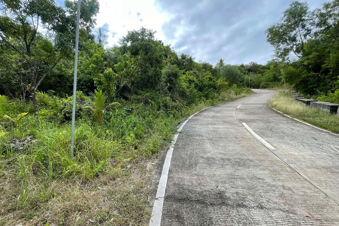 Land for Sale in Sawang, Maria, Siquijor – photo 4