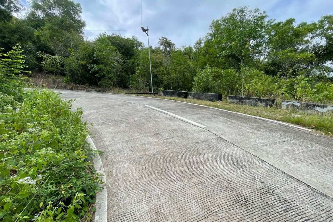 Land for Sale in Sawang, Maria, Siquijor – photo 5