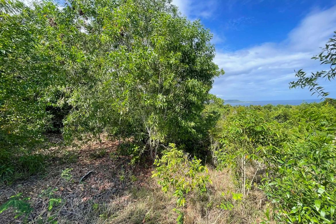 Land for Sale in Sawang, Maria, Siquijor – photo 6
