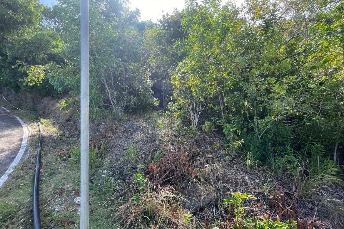 Land for Sale in Sawang, Maria, Siquijor – photo 8